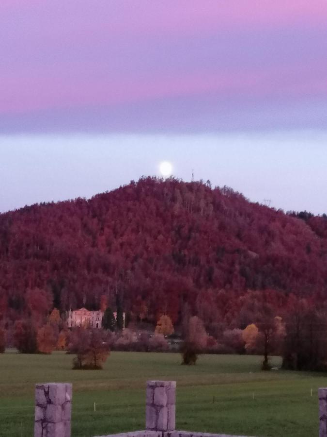 Hisa Haasberg Villa Planina  Buitenkant foto