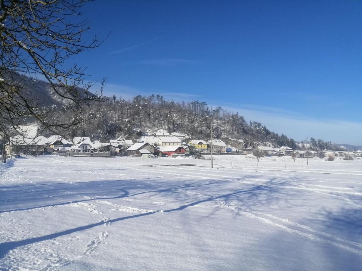 Hisa Haasberg Villa Planina  Buitenkant foto