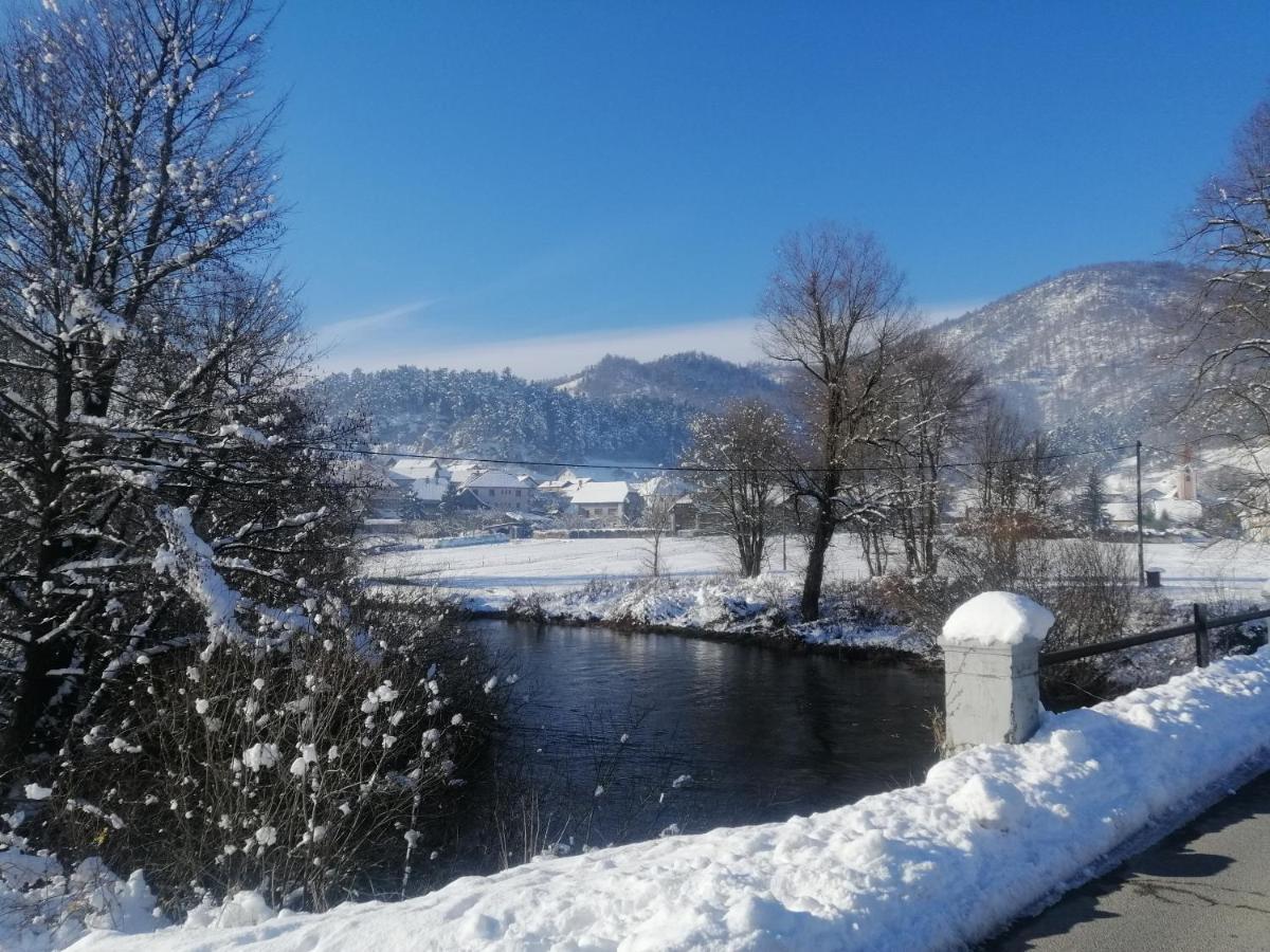 Hisa Haasberg Villa Planina  Buitenkant foto